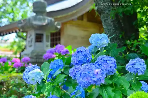 妙楽寺(神奈川県)