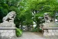 神炊館神社 ⁂奥州須賀川総鎮守⁂の狛犬