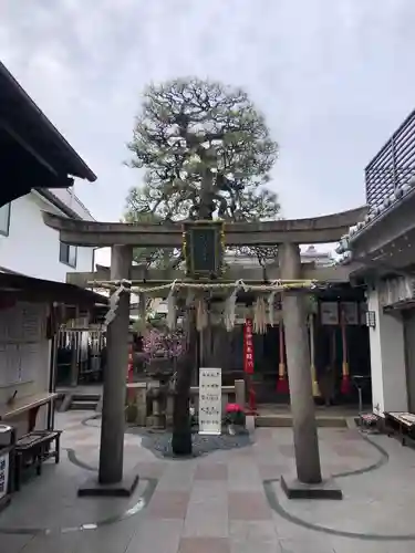 市比賣神社の鳥居