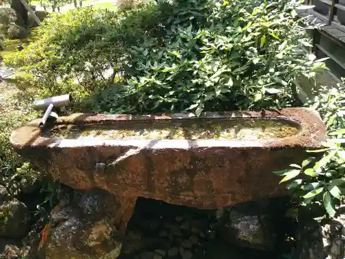 青蓮院門跡の手水舎