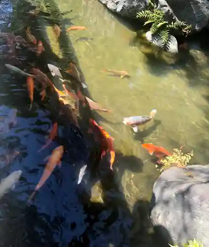 西新井大師総持寺の庭園