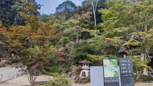 興聖寺（興聖寶林禅寺）(京都府)