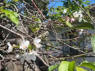 加佐美神社(岐阜県)