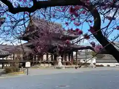 興正寺(京都府)