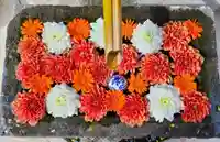 差出磯大嶽山神社 仕事と健康と厄よけの神さま(山梨県)