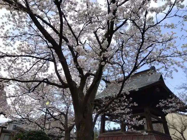 性宗寺(新潟県)