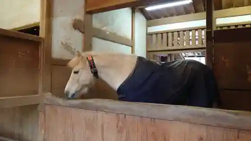 金刀比羅宮(香川県)