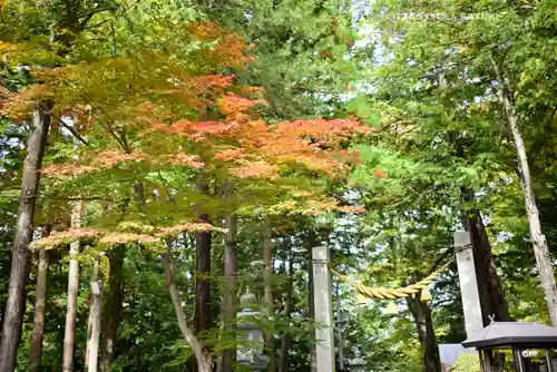 諏訪大社下社秋宮(長野県)