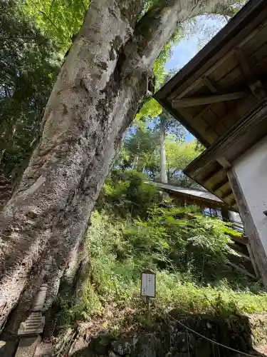 丹生川上神社（下社）の{uncategorized: "未分類", other: "その他", undefined: "問題あり", building: "その他建物", grave: "お墓", sacred_gate: "鳥居", guardian: "狛犬", statue: "像", buddha: "仏像", history: "歴史", nature: "自然", garden: "庭園", animal: "動物", pagoda: "塔", temizu: "手水舎", mountain_gate: "山門・神門", sanctuary: "本殿・本堂", subordinate: "末社・摂社", art: "芸術", scenery: "景色", jizo: "地蔵", ema: "絵馬", goshuin: "御朱印", omikuji: "おみくじ", items: "授与品その他", amulet: "お守り", goshuincho: "御朱印帳", eats: "食事", festival: "お祭り", votive_dance: "神楽", shichigosan: "七五三参", wedding: "結婚式", experience: "体験その他", initially: "初詣", around: "周辺", anti_infection: "感染症対策"}