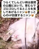 専念寺(大阪府)