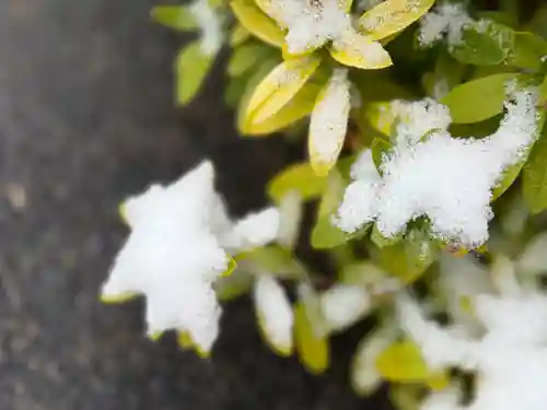 西方山極楽寺(岐阜県)