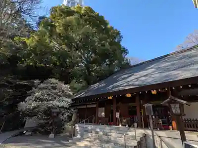 乃木神社(東京都)