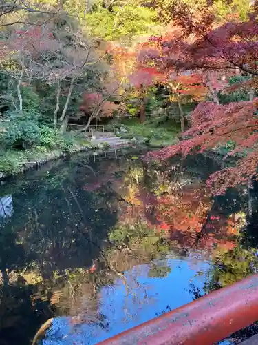 鶴岡八幡宮の庭園