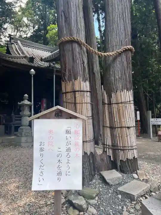 豊川閣 妙厳寺の自然