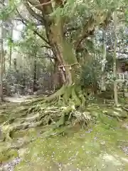 赤猪岩神社の自然