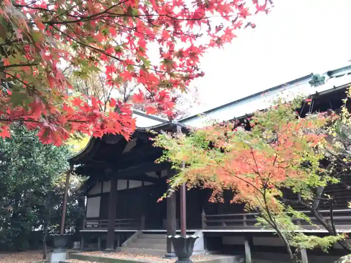 広徳寺の本殿・本堂