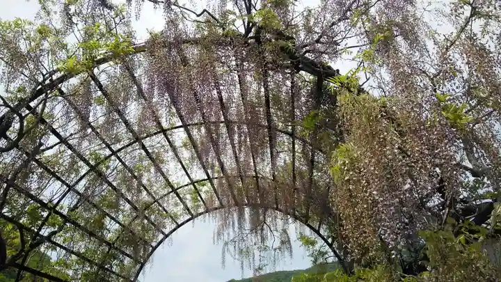 和氣神社(和気神社)の自然