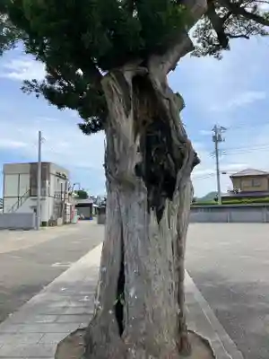 圓福寺（円福寺）(神奈川県)