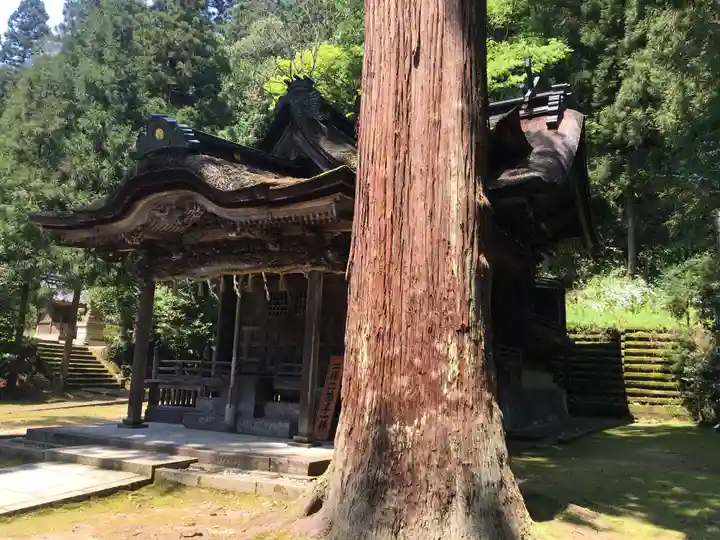 岡太神社・大瀧神社の本殿・本堂