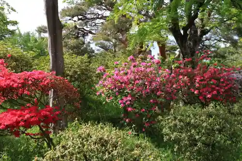 開成山大神宮の庭園