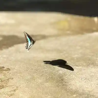 伊勢の国 四天王寺(三重県)