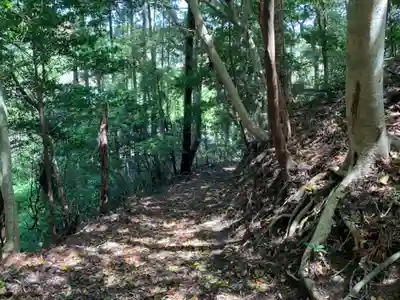 天照大神社の周辺