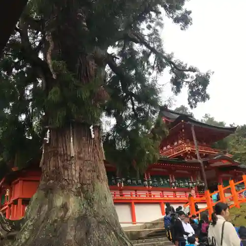 春日大社の{uncategorized: "未分類", other: "その他", undefined: "問題あり", building: "その他建物", grave: "お墓", sacred_gate: "鳥居", guardian: "狛犬", statue: "像", buddha: "仏像", history: "歴史", nature: "自然", garden: "庭園", animal: "動物", pagoda: "塔", temizu: "手水舎", mountain_gate: "山門・神門", sanctuary: "本殿・本堂", subordinate: "末社・摂社", art: "芸術", scenery: "景色", jizo: "地蔵", ema: "絵馬", goshuin: "御朱印", omikuji: "おみくじ", items: "授与品その他", amulet: "お守り", goshuincho: "御朱印帳", eats: "食事", festival: "お祭り", votive_dance: "神楽", shichigosan: "七五三参", wedding: "結婚式", experience: "体験その他", initially: "初詣", around: "周辺", anti_infection: "感染症対策"}