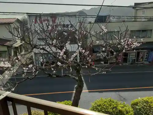 清宝院(東京都)