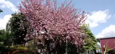 入逢山　西方寺(京都府)