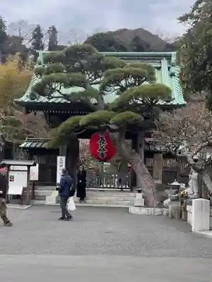 長谷寺(神奈川県)