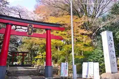 大宮八幡宮(東京都)