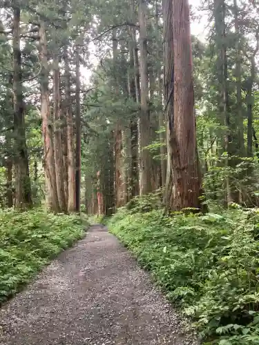 戸隠神社奥社(長野県)