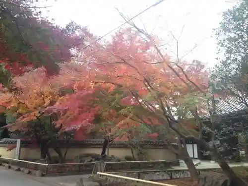 観泉寺の山門