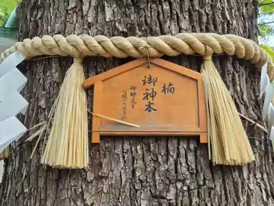 駒込天祖神社(東京都)