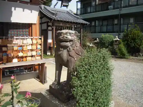 水堂須佐男神社の狛犬