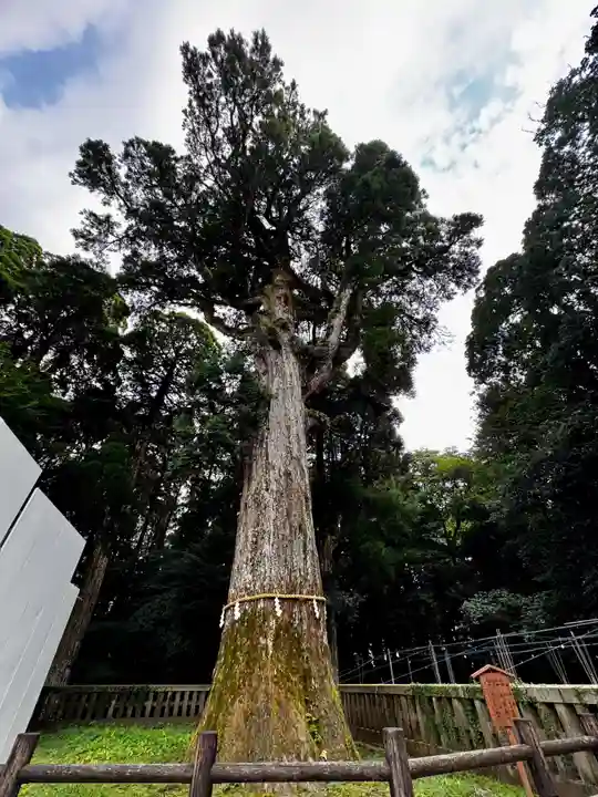 霧島神宮(鹿児島県)
