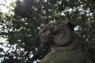 愛宕神社の狛犬