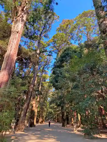鹿島神宮の自然