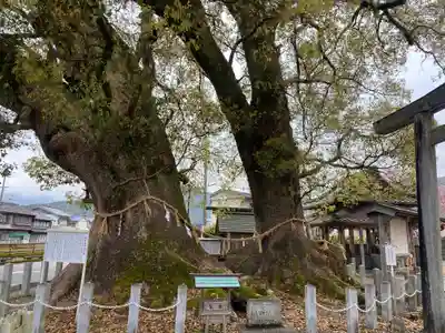 尾鷲神社(三重県)