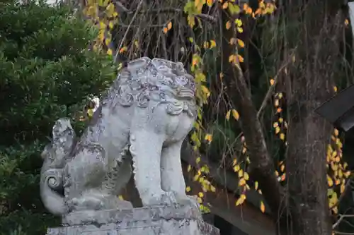 開成山大神宮の狛犬