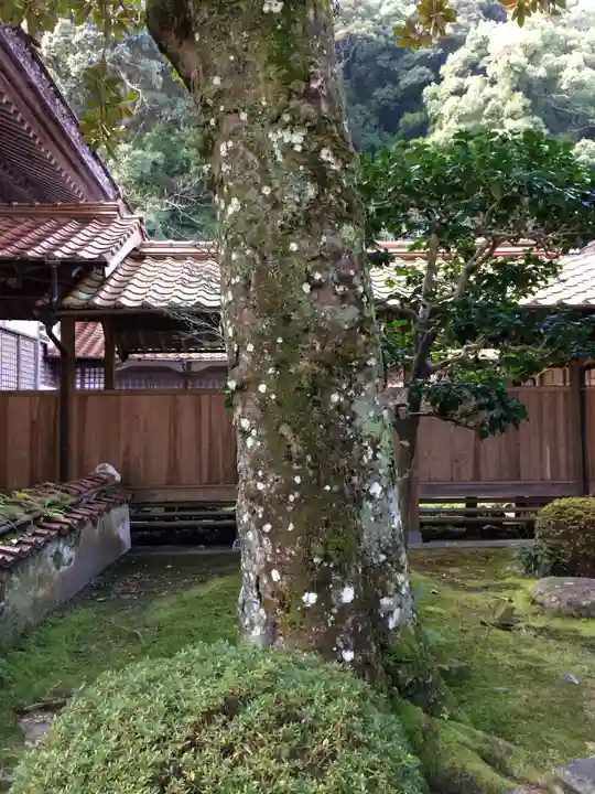 大寧寺(山口県)