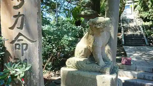 大瀬神社の狛犬