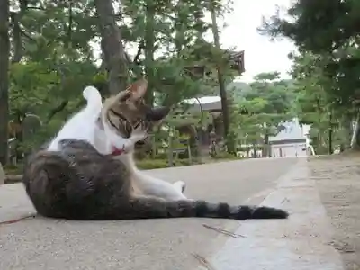 智恩寺(京都府)