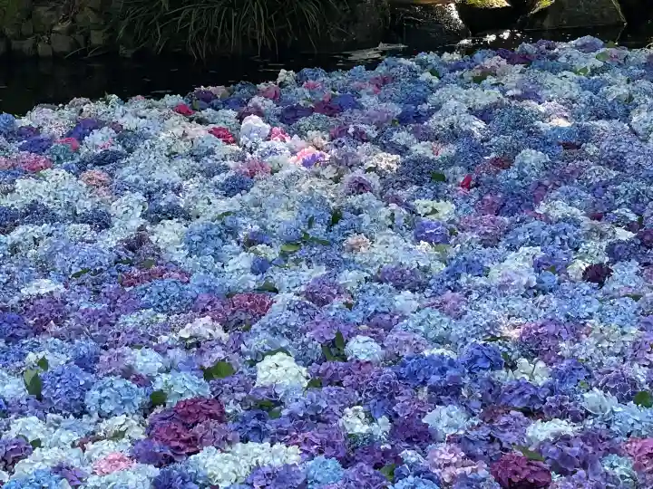 楽法寺(雨引観音)(茨城県)