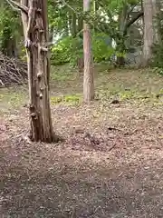 錦山天満宮の動物