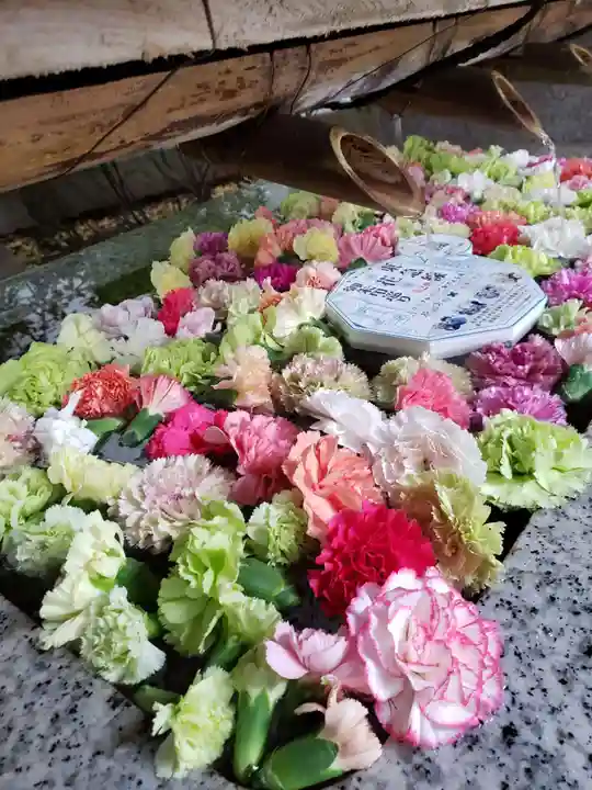 青山熊野神社(東京都)