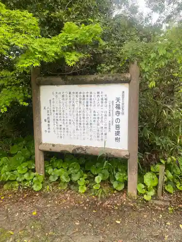 天福寺の庭園