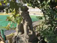 大京神社の狛犬