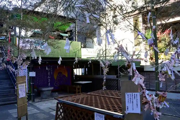 菊名神社のおみくじ