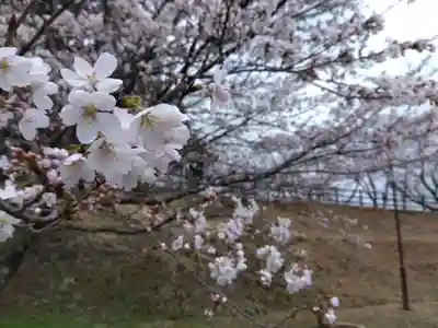 気比神社(福井県)